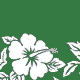  Green/White 