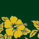  Green/Yellow 