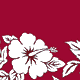  Magenta/White 