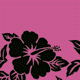 Pink/Black 