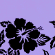  Purple/Black 