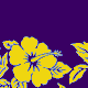  Purple/Yellow 
