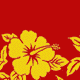  Red/Yellow 
