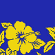  Royal/Yellow 