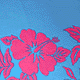  Turquoise/Pink 