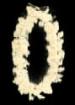  White Puakenikeni Headband 