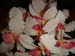  Orchid/`Okika 