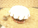  Puniu- Knee Drum 