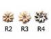  Shell Rosettes 