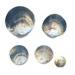  Mother of Pearl Round Shells 
