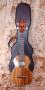  Ukulele 