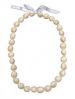 Kukui Nut Lei - Assorted 